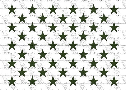American Flag 50 Star Union