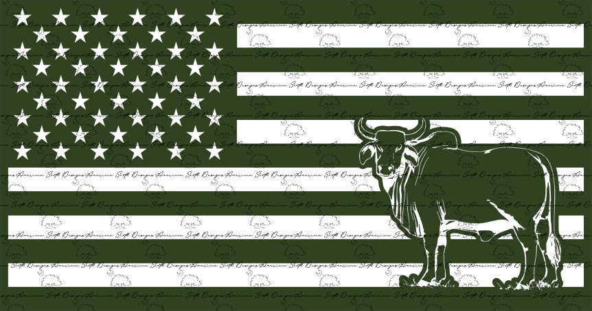 American Flag with Bull