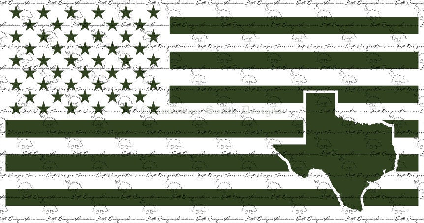 American Flag with Texas State