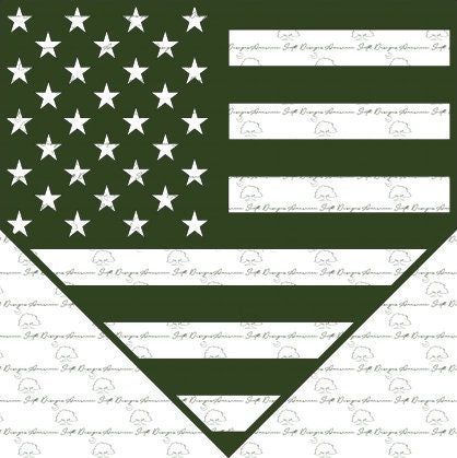 Home Plate American Flag